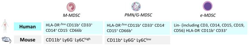 https://cdn.ncbi.nlm.nih.gov/pmc/blobs/82ec/12248894/30d4868aad46/cancers-17-02251-g002.jpg