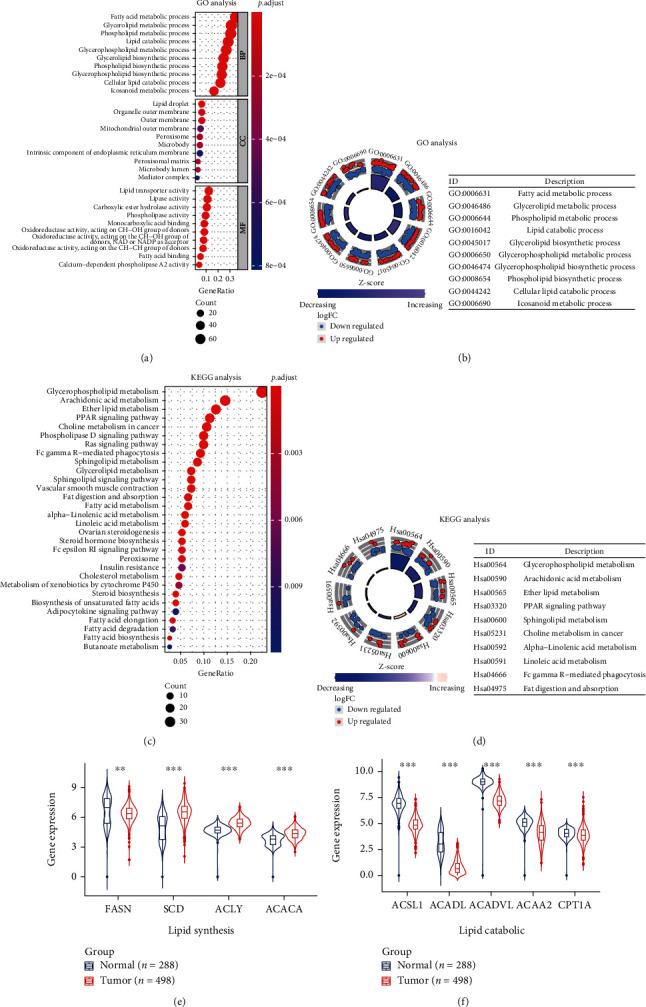 https://cdn.ncbi.nlm.nih.gov/pmc/blobs/82ec/9873467/79bf87d15c55/OMCL2023-6811625.003.jpg