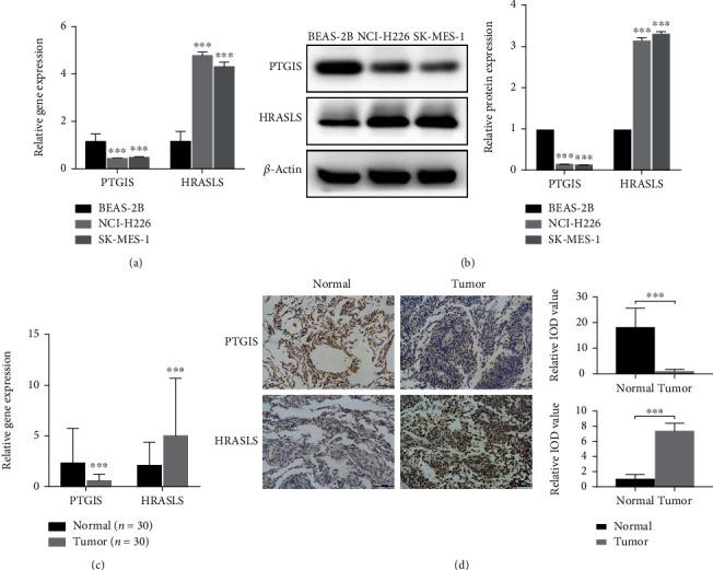 https://cdn.ncbi.nlm.nih.gov/pmc/blobs/82ec/9873467/f0109a58b1cb/OMCL2023-6811625.005.jpg