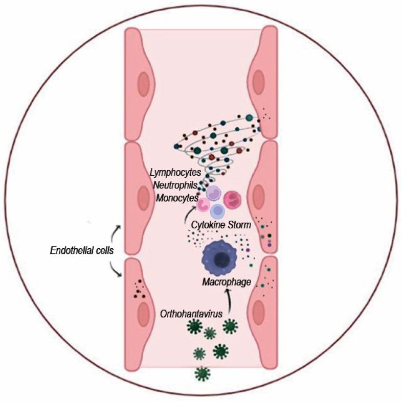 https://cdn.ncbi.nlm.nih.gov/pmc/blobs/82ec/9966805/9706830db95d/viruses-15-00561-g005.jpg