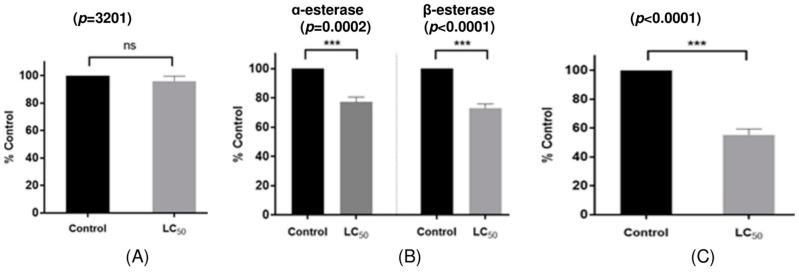 https://cdn.ncbi.nlm.nih.gov/pmc/blobs/82f0/11990568/0b0a1f0aef82/molecules-30-01518-g001.jpg