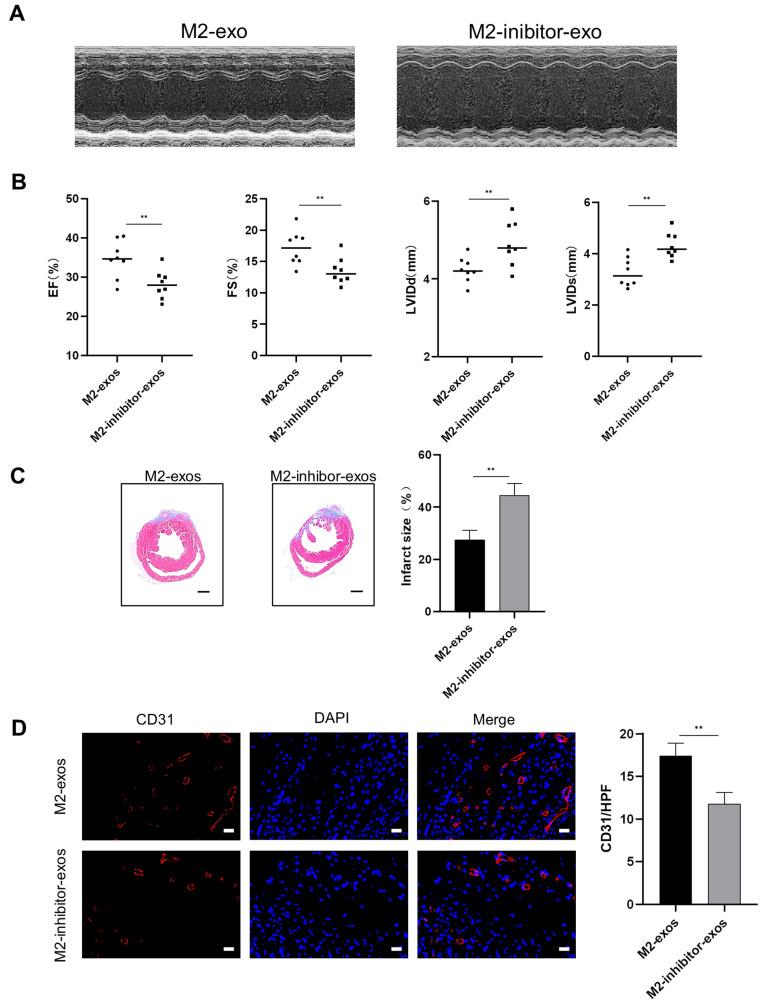https://cdn.ncbi.nlm.nih.gov/pmc/blobs/82f2/11155164/0d3d83a1d355/13062_2024_485_Fig2_HTML.jpg