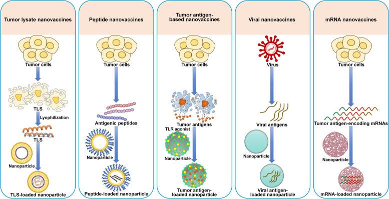 https://cdn.ncbi.nlm.nih.gov/pmc/blobs/82f3/11748575/313ce70e507c/12943_2024_2214_Fig7_HTML.jpg