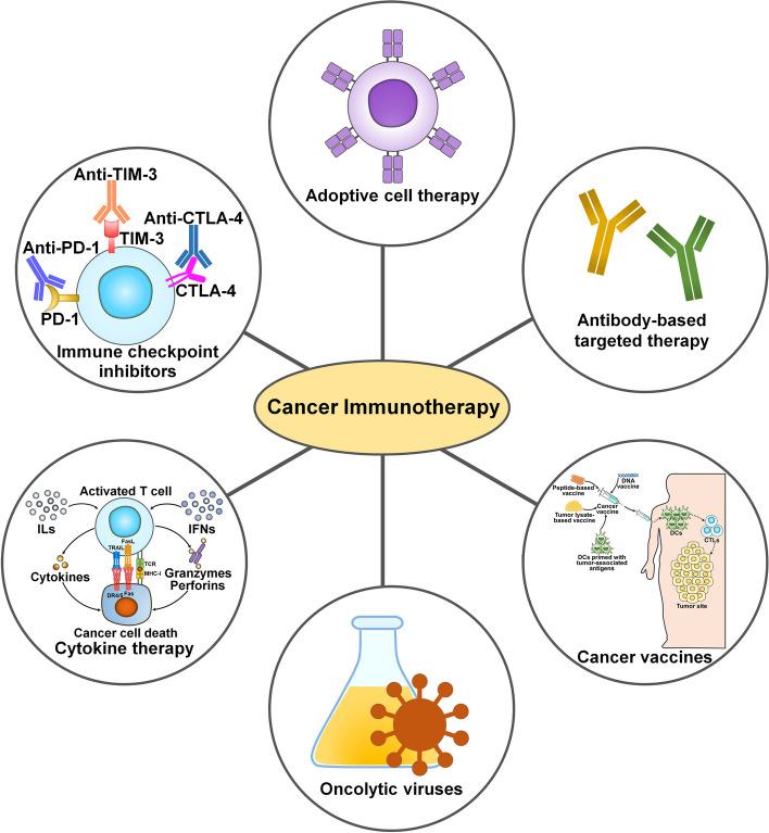 https://cdn.ncbi.nlm.nih.gov/pmc/blobs/82f3/11748575/359ff91a49fd/12943_2024_2214_Fig2_HTML.jpg