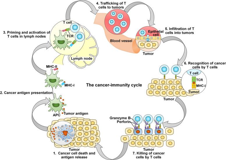 https://cdn.ncbi.nlm.nih.gov/pmc/blobs/82f3/11748575/4159f5d946fe/12943_2024_2214_Fig1_HTML.jpg