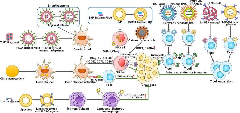 https://cdn.ncbi.nlm.nih.gov/pmc/blobs/82f3/11748575/433f806a1061/12943_2024_2214_Fig5_HTML.jpg