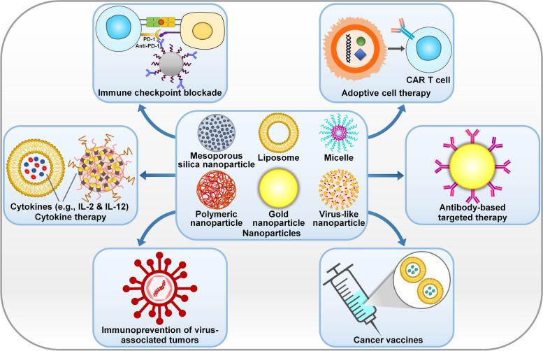 https://cdn.ncbi.nlm.nih.gov/pmc/blobs/82f3/11748575/acf808f7ff1f/12943_2024_2214_Fig3_HTML.jpg