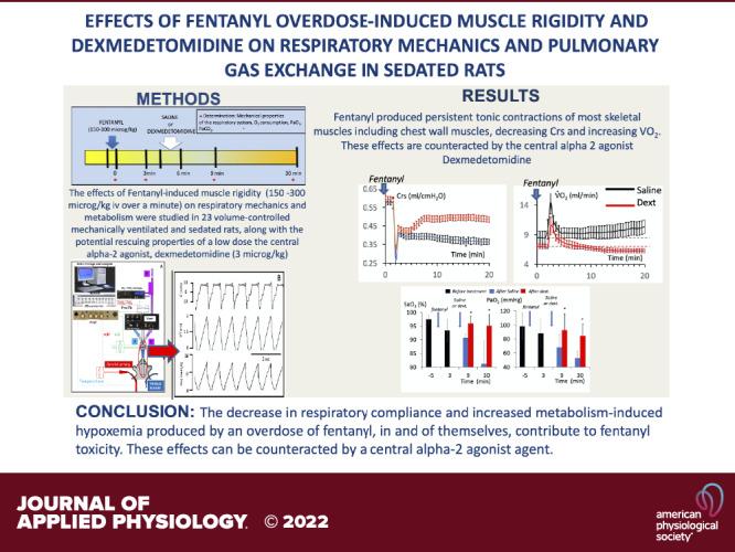 https://cdn.ncbi.nlm.nih.gov/pmc/blobs/82f3/9190730/3b745c790e1b/jappl-00819-2021r01.jpg