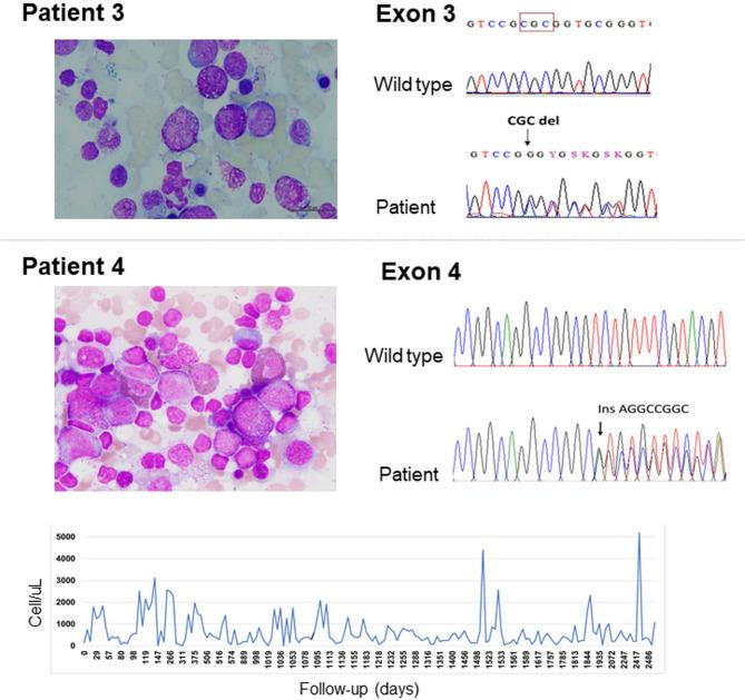 https://cdn.ncbi.nlm.nih.gov/pmc/blobs/82f7/10666431/6452ef42c5e8/12887_2023_4428_Fig1_HTML.jpg