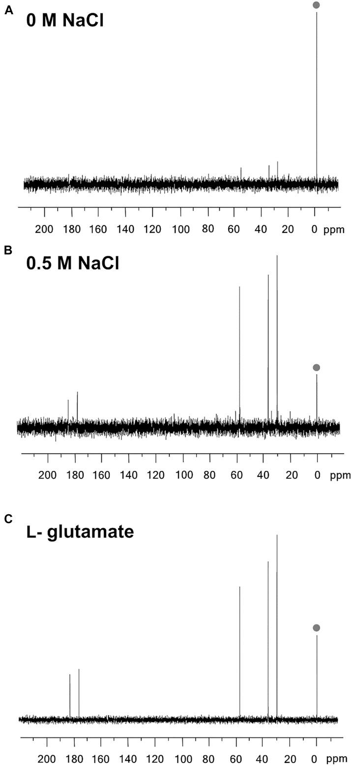 https://cdn.ncbi.nlm.nih.gov/pmc/blobs/82f8/8060640/0ded49bf96e8/fmicb-12-640980-g002.jpg