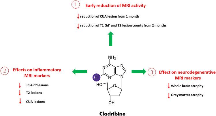https://cdn.ncbi.nlm.nih.gov/pmc/blobs/82f9/10980660/2c5f32025e88/40263_2024_1074_Fig2_HTML.jpg