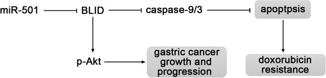 https://cdn.ncbi.nlm.nih.gov/pmc/blobs/82fa/6077131/4de5b9490749/gr7.jpg
