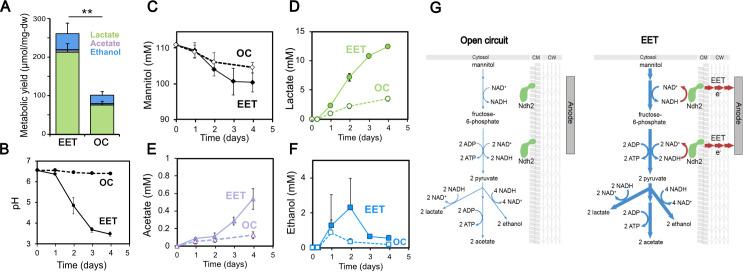 https://cdn.ncbi.nlm.nih.gov/pmc/blobs/82fa/8837199/2422bc344e91/elife-70684-fig5.jpg