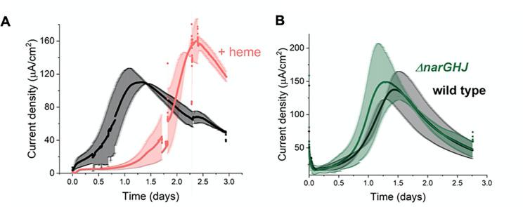 https://cdn.ncbi.nlm.nih.gov/pmc/blobs/82fa/8837199/510d07ebe691/elife-70684-fig5-figsupp1.jpg