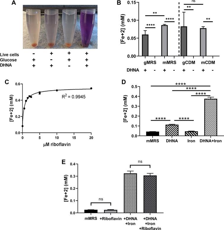 https://cdn.ncbi.nlm.nih.gov/pmc/blobs/82fa/8837199/641157e98598/elife-70684-fig1-figsupp1.jpg