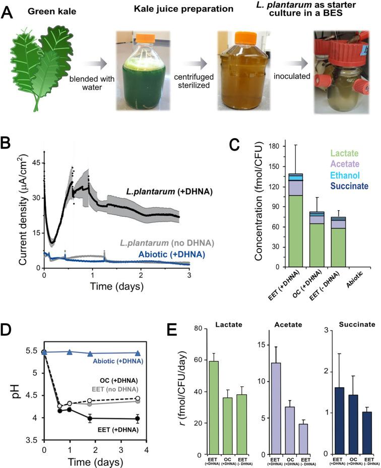 https://cdn.ncbi.nlm.nih.gov/pmc/blobs/82fa/8837199/6c33fc5cbc87/elife-70684-fig6.jpg
