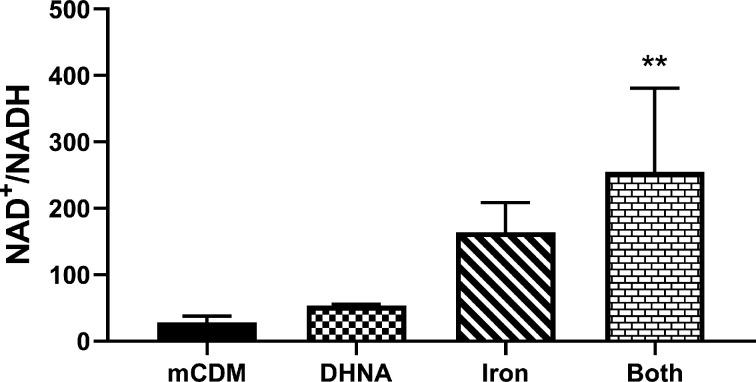 https://cdn.ncbi.nlm.nih.gov/pmc/blobs/82fa/8837199/7baffd298089/elife-70684-fig4-figsupp3.jpg