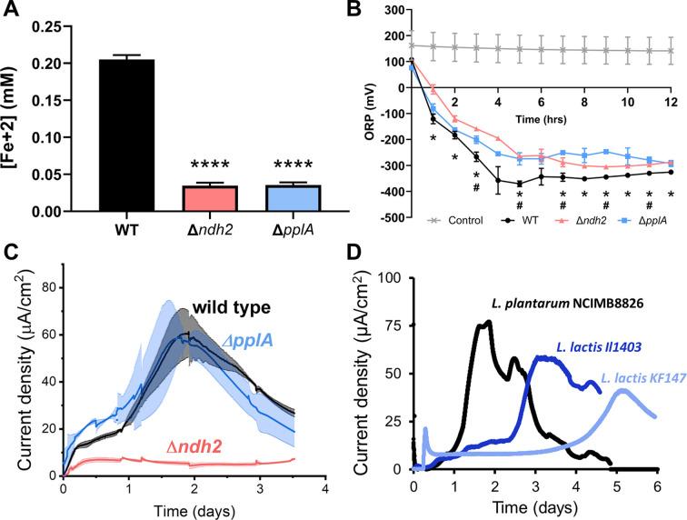 https://cdn.ncbi.nlm.nih.gov/pmc/blobs/82fa/8837199/960e25cde48a/elife-70684-fig3.jpg