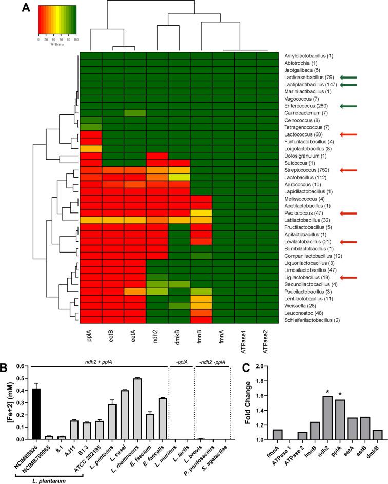 https://cdn.ncbi.nlm.nih.gov/pmc/blobs/82fa/8837199/d888a3dd0ef7/elife-70684-fig2.jpg