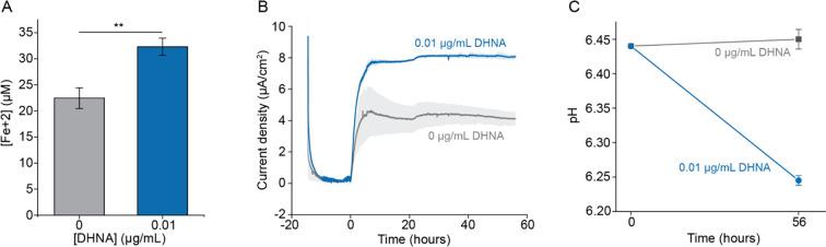 https://cdn.ncbi.nlm.nih.gov/pmc/blobs/82fa/8837199/d923e5f23c65/elife-70684-fig1-figsupp3.jpg