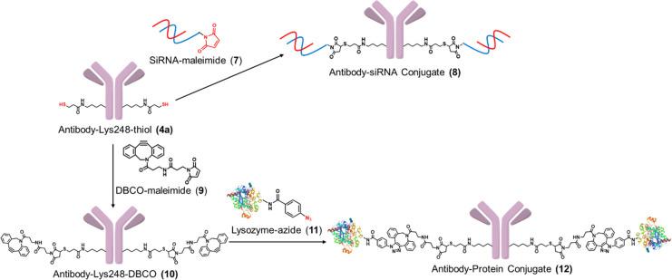 https://cdn.ncbi.nlm.nih.gov/pmc/blobs/82fc/10119932/3d6a07d6a093/bc3c00040_0005.jpg