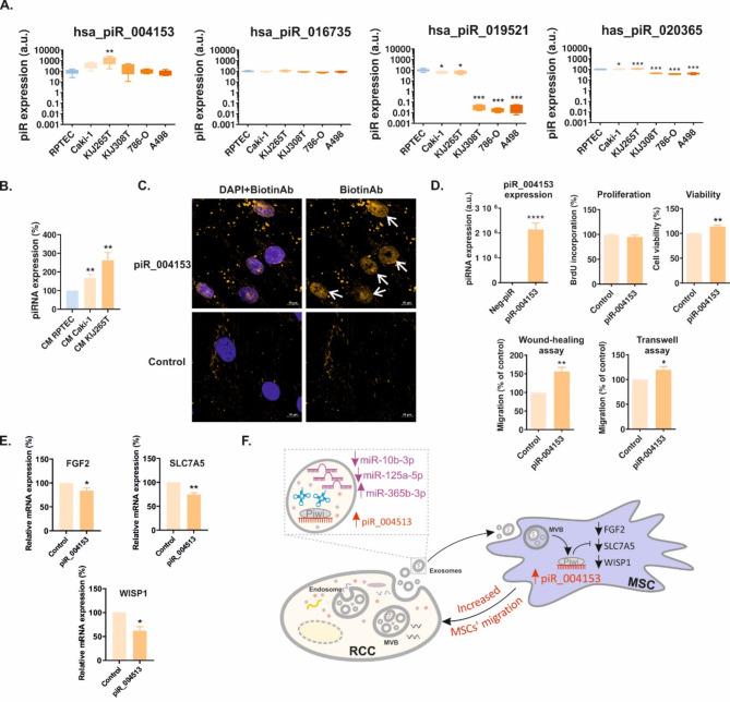 https://cdn.ncbi.nlm.nih.gov/pmc/blobs/82fe/11697636/2c8cde2bd5d9/12964_2024_2001_Fig3_HTML.jpg