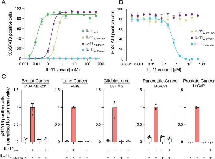 https://cdn.ncbi.nlm.nih.gov/pmc/blobs/82ff/10662374/50143b001998/41467_2023_42754_Fig4_HTML.jpg