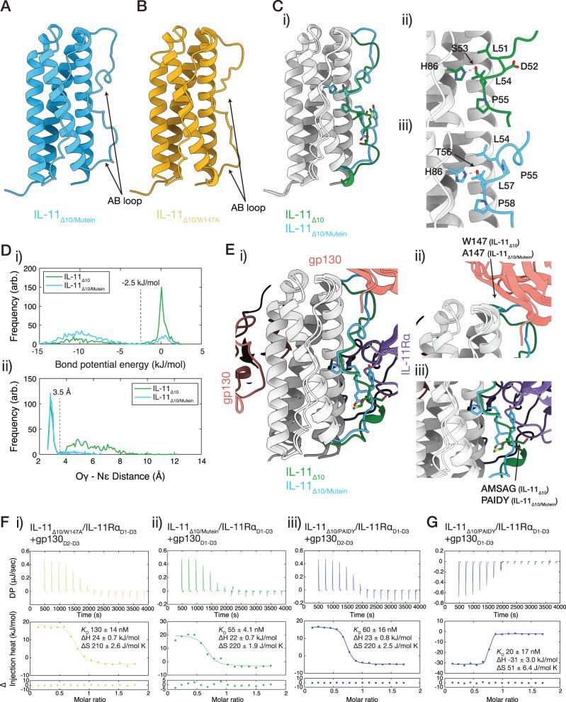 https://cdn.ncbi.nlm.nih.gov/pmc/blobs/82ff/10662374/d414e8ca665c/41467_2023_42754_Fig6_HTML.jpg