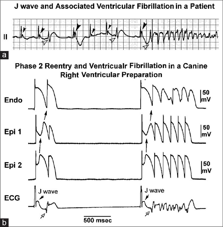 https://cdn.ncbi.nlm.nih.gov/pmc/blobs/82ff/4834016/f0d370ede4e6/CMJ-128-969-g005.jpg