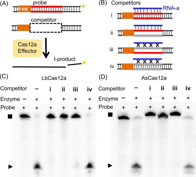 https://cdn.ncbi.nlm.nih.gov/pmc/blobs/8300/6811856/9a03eee58668/ao9b01469_0002.jpg