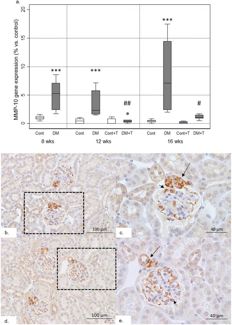 https://cdn.ncbi.nlm.nih.gov/pmc/blobs/8300/6949265/264fcba54de2/41598_2019_56856_Fig4_HTML.jpg