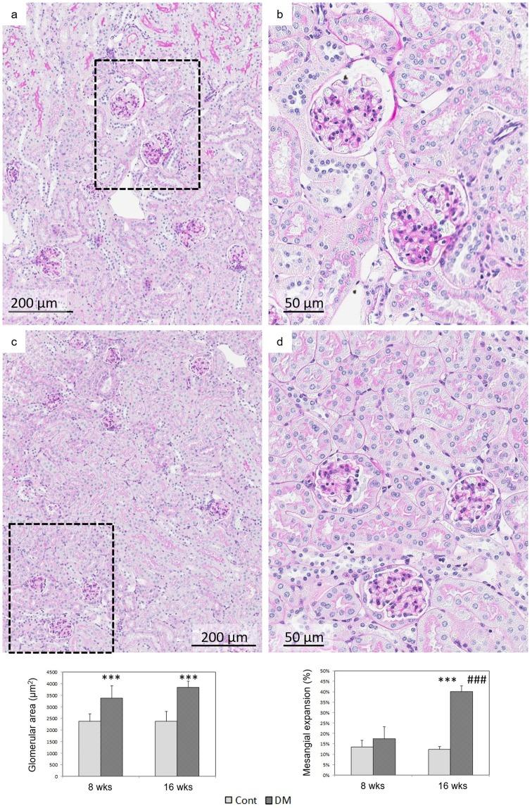 https://cdn.ncbi.nlm.nih.gov/pmc/blobs/8300/6949265/9601c4123376/41598_2019_56856_Fig3_HTML.jpg
