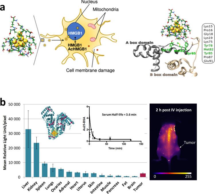 https://cdn.ncbi.nlm.nih.gov/pmc/blobs/8301/9814327/b71a022ad3a5/42004_2022_665_Fig2_HTML.jpg