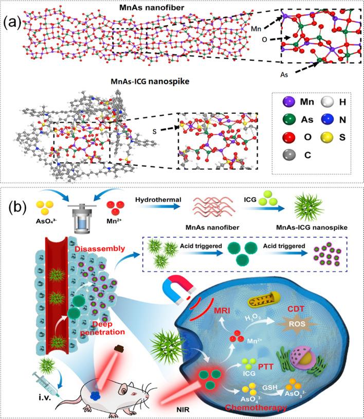 https://cdn.ncbi.nlm.nih.gov/pmc/blobs/8302/10161522/3a7ef3bdc643/40824_2023_386_Fig3_HTML.jpg