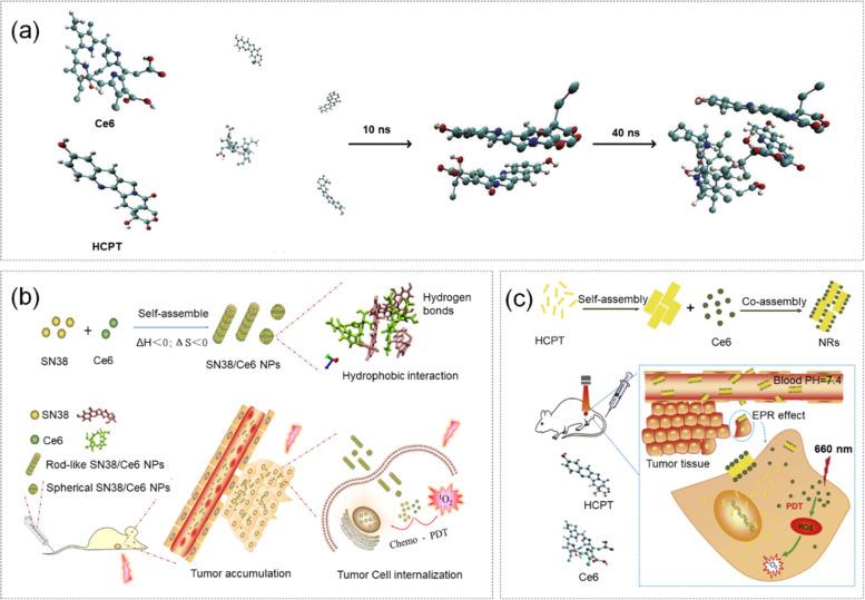 https://cdn.ncbi.nlm.nih.gov/pmc/blobs/8302/10161522/4041cbdfdc59/40824_2023_386_Fig7_HTML.jpg
