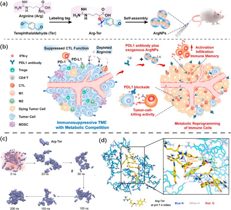 https://cdn.ncbi.nlm.nih.gov/pmc/blobs/8302/10161522/c587f781bf40/40824_2023_386_Fig14_HTML.jpg