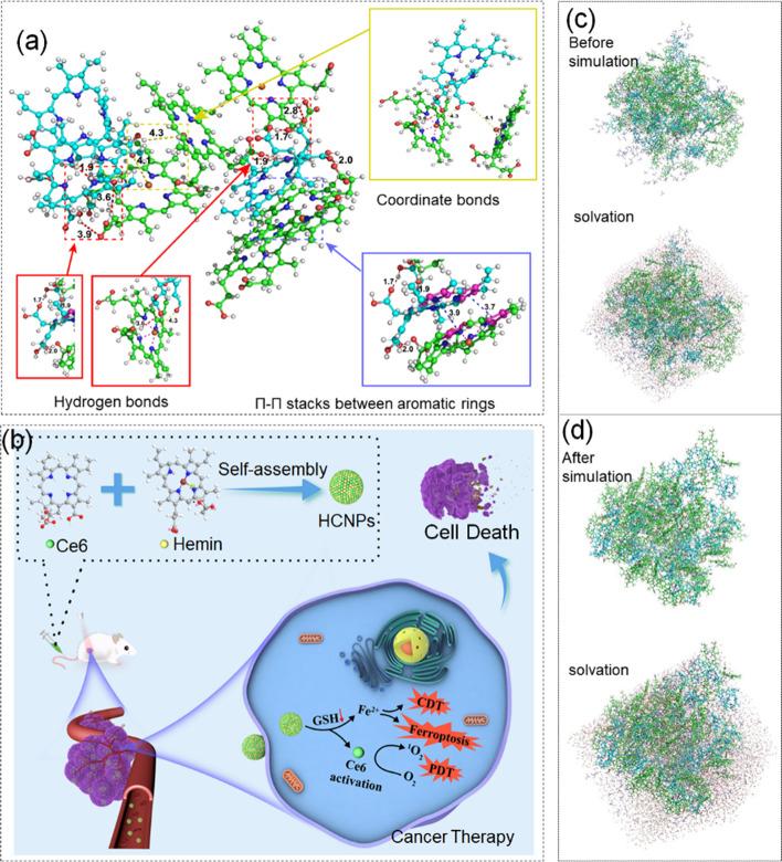 https://cdn.ncbi.nlm.nih.gov/pmc/blobs/8302/10161522/e36f0e4265e1/40824_2023_386_Fig5_HTML.jpg
