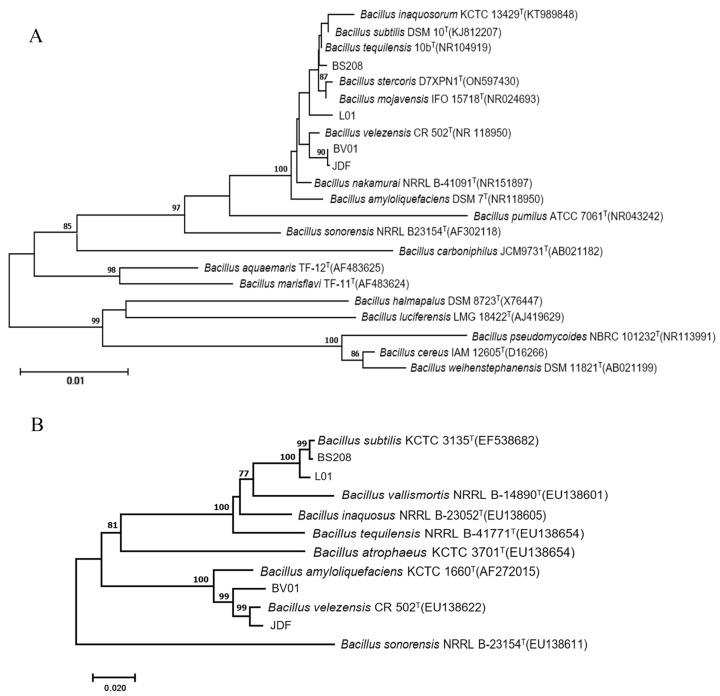 https://cdn.ncbi.nlm.nih.gov/pmc/blobs/8304/10673169/74517294fb03/microorganisms-11-02627-g003.jpg
