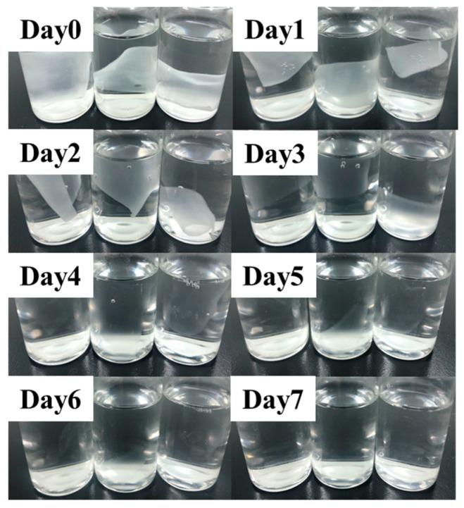 https://cdn.ncbi.nlm.nih.gov/pmc/blobs/8304/7179230/0d87c12966ba/molecules-25-01043-g005.jpg