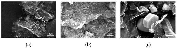 https://cdn.ncbi.nlm.nih.gov/pmc/blobs/8304/7179230/7e82d57a4b0a/molecules-25-01043-g001.jpg