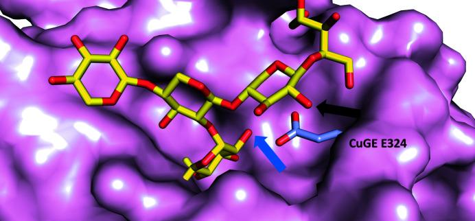 https://cdn.ncbi.nlm.nih.gov/pmc/blobs/8305/10233622/740b27d6134c/d-79-00545-fig5.jpg