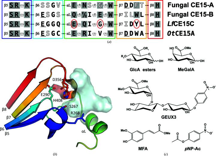 https://cdn.ncbi.nlm.nih.gov/pmc/blobs/8305/10233622/ecb616e59521/d-79-00545-fig1.jpg