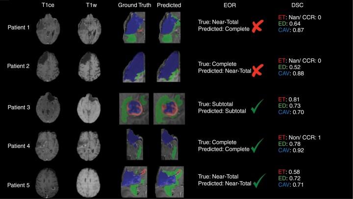 https://cdn.ncbi.nlm.nih.gov/pmc/blobs/8306/11631186/a663bf801890/vdae199_fig2.jpg