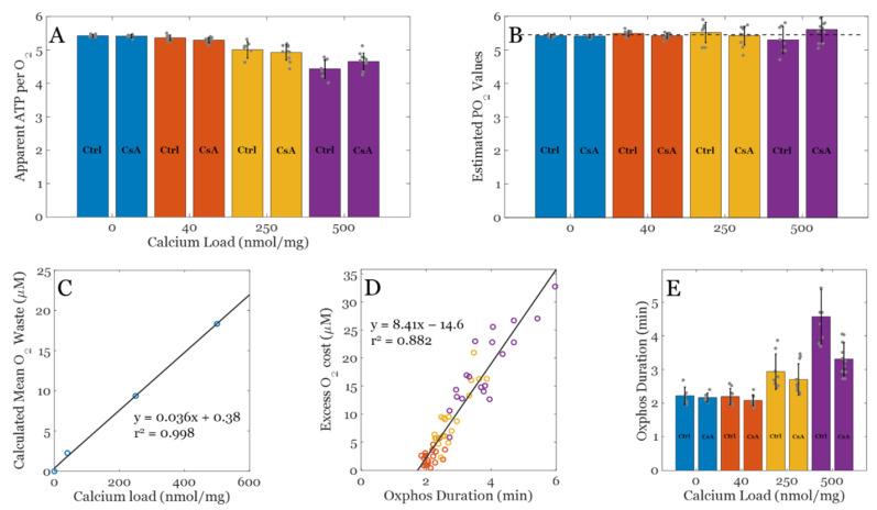 https://cdn.ncbi.nlm.nih.gov/pmc/blobs/8306/9775684/aa8e89b00f43/biomolecules-12-01891-g004.jpg