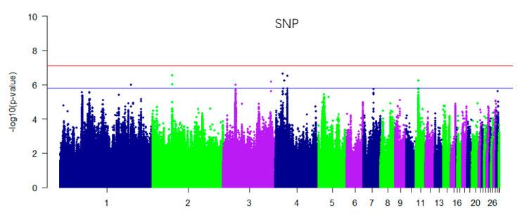 https://cdn.ncbi.nlm.nih.gov/pmc/blobs/8307/7290304/20cf6dc98dd9/genes-11-00497-g002.jpg