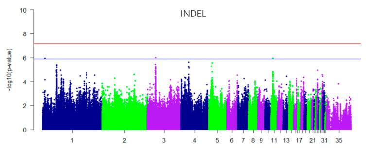 https://cdn.ncbi.nlm.nih.gov/pmc/blobs/8307/7290304/25468fc0c934/genes-11-00497-g004.jpg