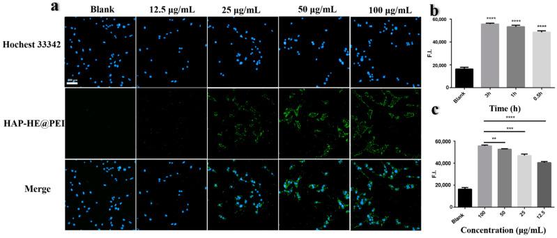 https://cdn.ncbi.nlm.nih.gov/pmc/blobs/8308/9221440/6a241a38798d/biosensors-12-00419-g009.jpg
