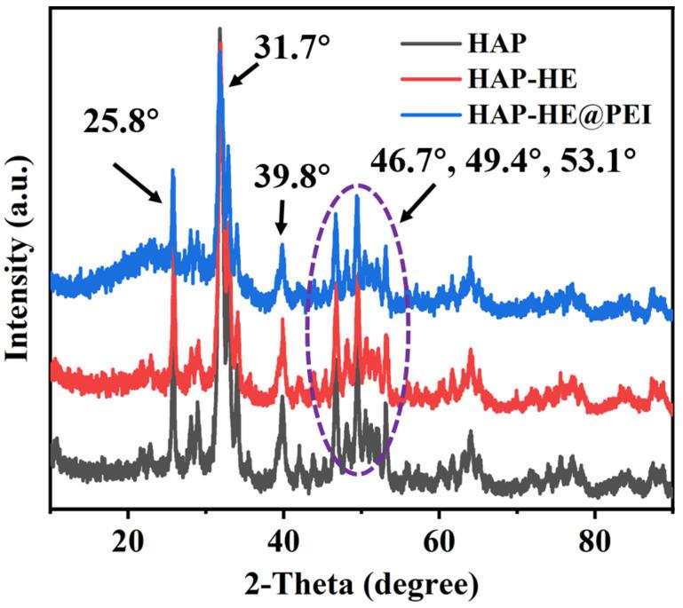 https://cdn.ncbi.nlm.nih.gov/pmc/blobs/8308/9221440/6f0015e8c72c/biosensors-12-00419-g002.jpg