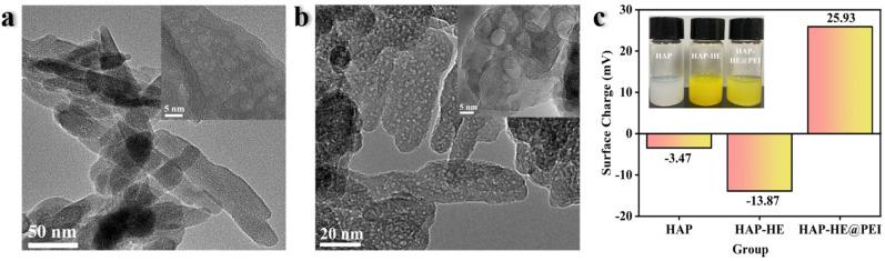 https://cdn.ncbi.nlm.nih.gov/pmc/blobs/8308/9221440/83109c074ae8/biosensors-12-00419-g001.jpg
