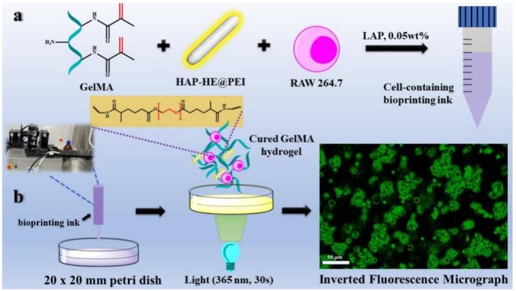 https://cdn.ncbi.nlm.nih.gov/pmc/blobs/8308/9221440/b31c05f929fe/biosensors-12-00419-g010.jpg